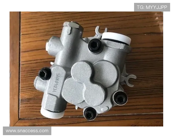 挖掘机先导泵齿轮泵磨损分析